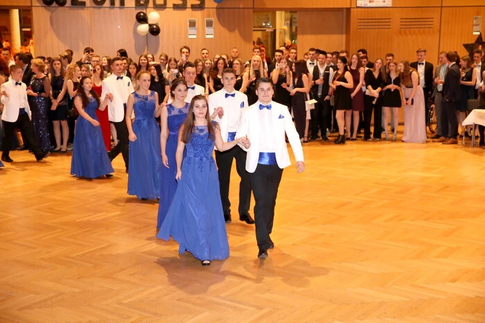 Den gelungenen Auftakt bildete die Eröffnungspolonaise (Choreographie: Ulrike Adler-Wiegele).