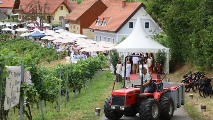 Das 25. Eruptionsfest, bei dem die besten Weine der neun Eruptionswinzer präsentiert werden, fand im Weingut Pfeiffer in Plesch bei St. Anna am Aigen statt.