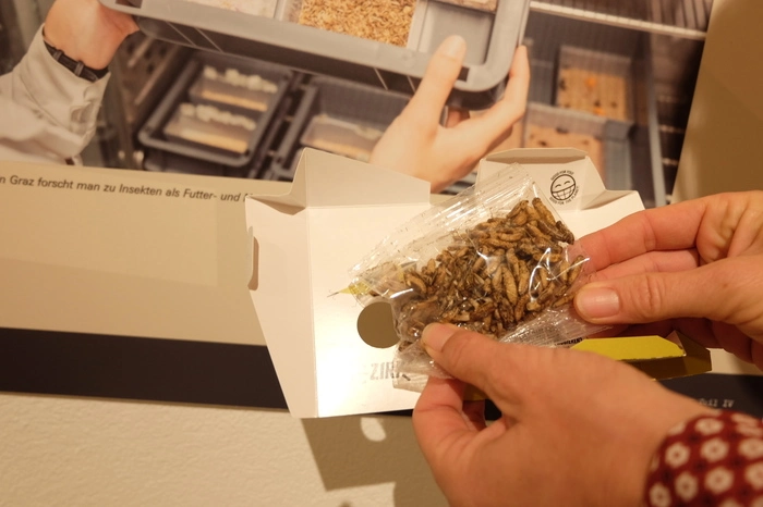 Insektennahrung - ein zukunftsträchtiger Trend?