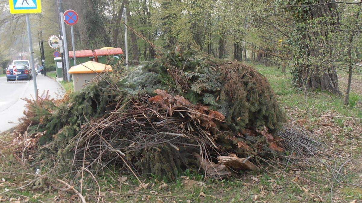 Die Stadt Graz entsorgt den Grünschnitt kosenlos - allerdings nur in Haushaltsmengen (Foto Sujet)