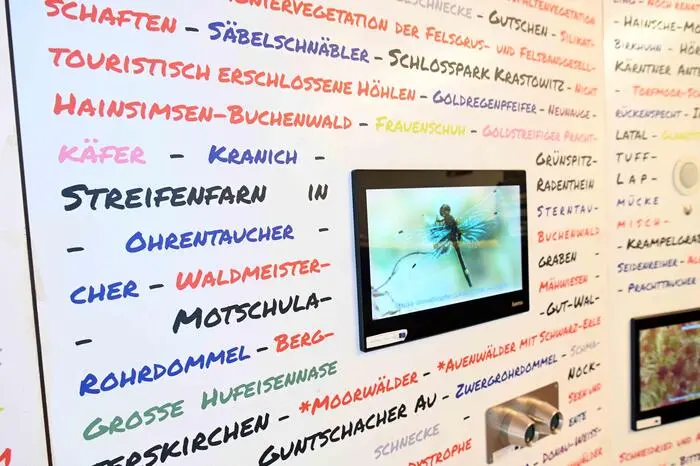 Spielerisch und leicht sollen Tiere und Pflanzen den Besuchern nähergebracht werden