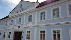 Stadt Feldbach reagiert auf das Coronavirus unter anderem mit einer Hotline