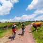 Werden Forststraßen in Zukunft für Mountainbikes geöffnet?