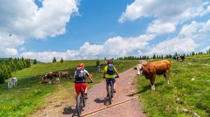 Werden Forststraßen in Zukunft für Mountainbikes geöffnet?