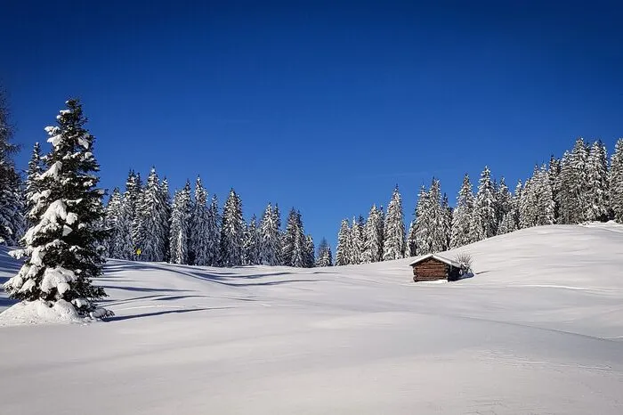 Winterliche Schnappschüsse vom Dorfberg