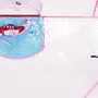 Michael Raffl schoss früher auf das Tor der Capitals, jetzt spielt er bei Washington