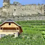 Weinberg der Burg Glanegg