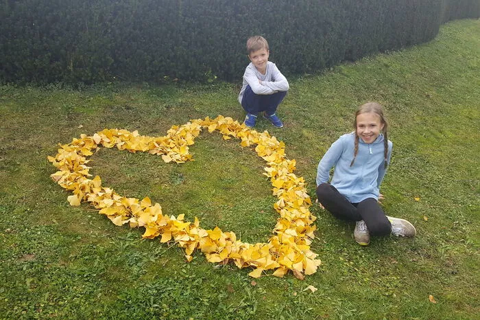 Die zehnjährige Nora und ihr sieben Jahre alter Bruder Florian hatten eine Idee: Gemeinsam mit ihrer Oma haben die beiden "wunderschöne Herzen aus herbstlich gelben Ginkoblättern gelegt", erzählt Mama Bettina Bratschitz aus Unterweissenbach bei Feldbach. "Viele Autofahrer und Nachbarn haben sich über diesen Herbstgruß gefreut."