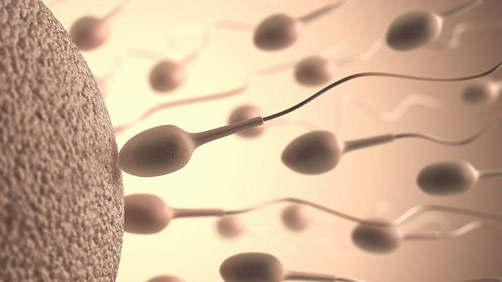 Haben Männer, die kein Fleisch essen, schlechteres Sperma?