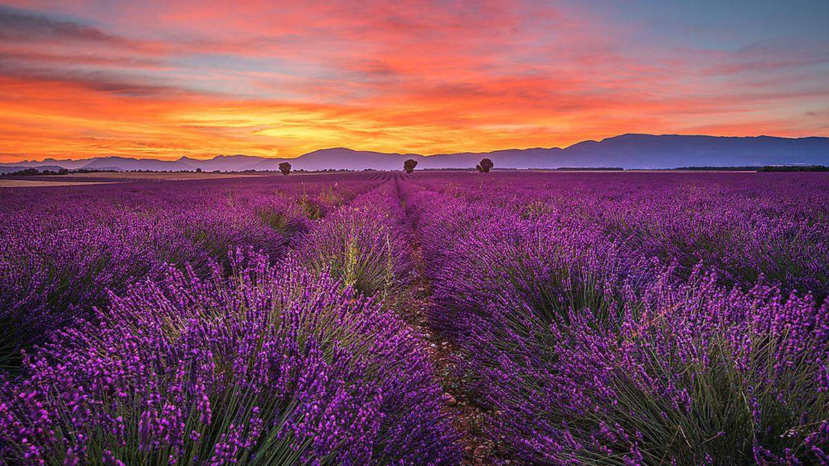 Die Provence in ihren schönsten Farben