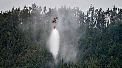 Mithilfe von Löschflugzeugen aus anderen EU-Ländern konnten die Waldbrände unter Kontrolle gebracht werden