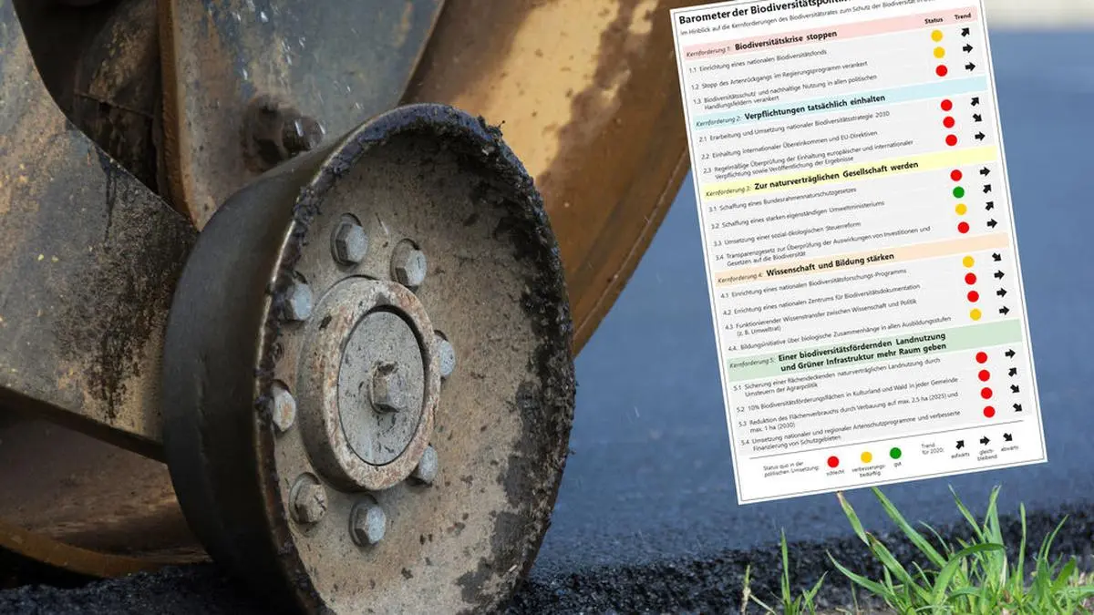 Grau verdrängt zunehmend Grün: Im Vorjahr wurden täglich 13 Hektar Fläche versiegelt