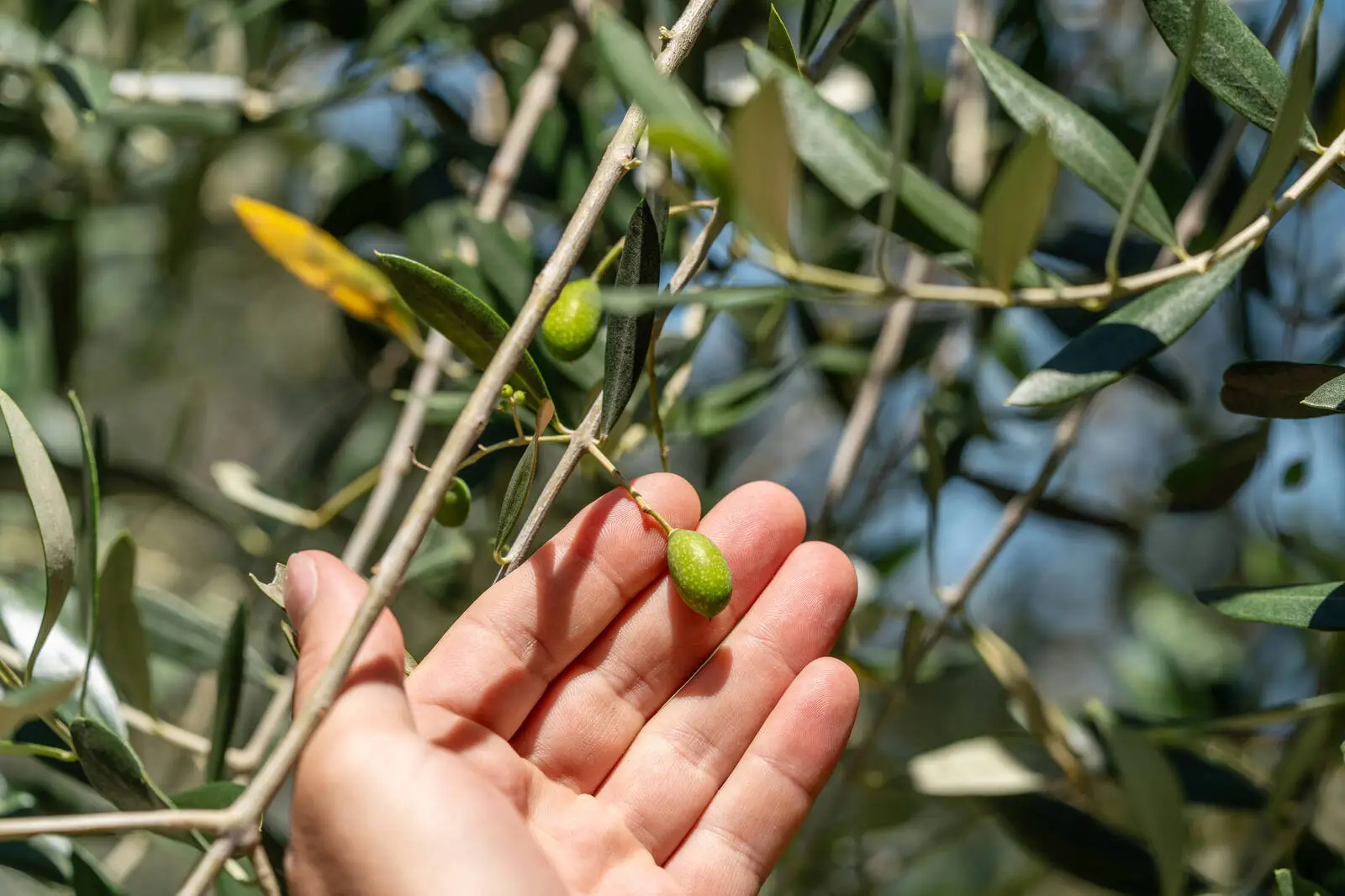 Mirsky's hidden treasures - 26 more stunning pictures to captivate your senses and expose deeper desires of her body