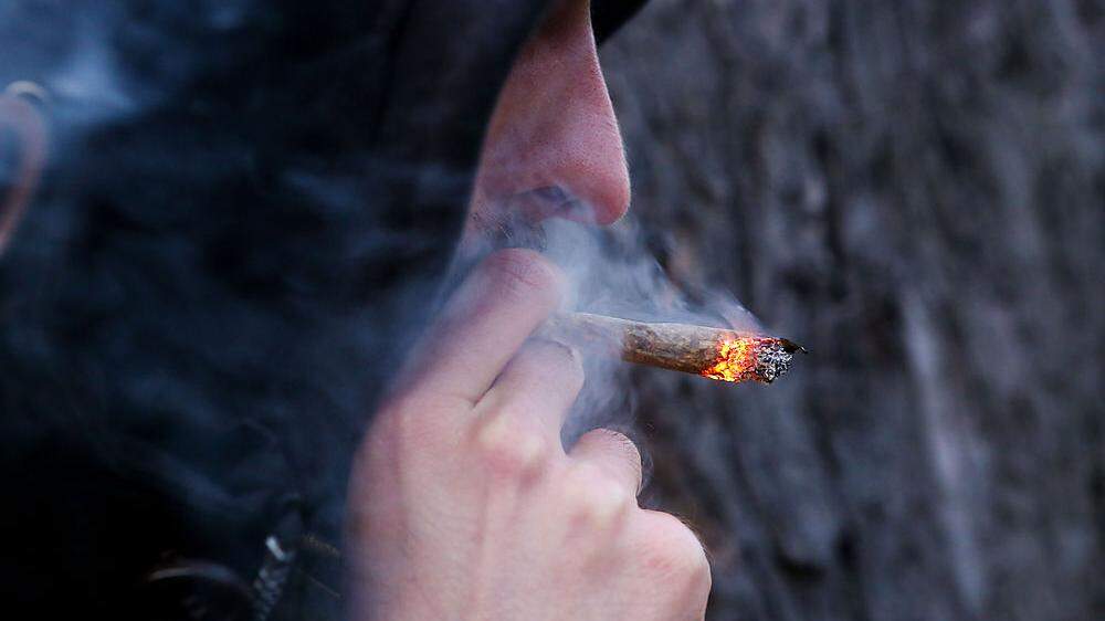 Insgesamt konnte die Polizei 130 Kilogramm Marihuana sicherstellen
