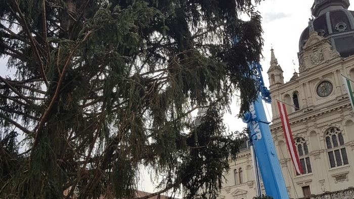 Am Mittwoch wurde die Fichte in Schladming abgeholt, . . .