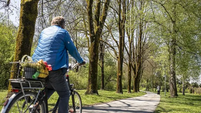 1000 zusätzliche Bäume sollen in Klagenfurt gepflanzt werden