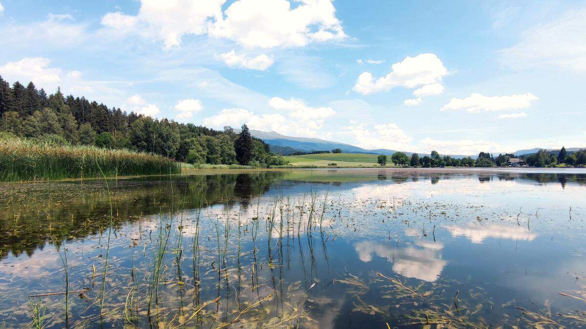 Der Furtnerteich ist Lebensraum für viele seltene Tier- und Pflanzenarten