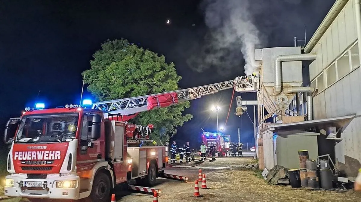 Mittels Drehleiter konnten sich die Einsatzkräfte ins Innere der Anlage vorkämpfen