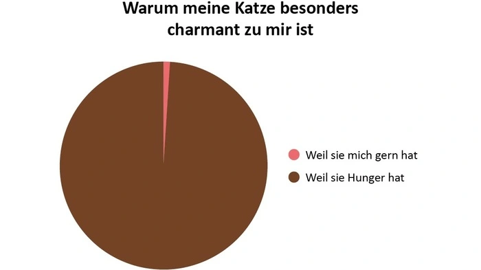 Clemens Ettenauer zeigt in seinem neuen Buch das Leben mit Katzen in lustigen Grafiken. Clemens Ettenauer. Katzen in leiwanden Grafiken. 28 Seiten, 5 Euro.