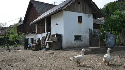 Auf diesem Hof in Villach-Kleinvassach ereignete sich der Vorfall