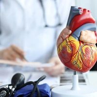 Die Herzgesundheit hat jede und jeder von uns zu einem Großteil selbst in der Hand