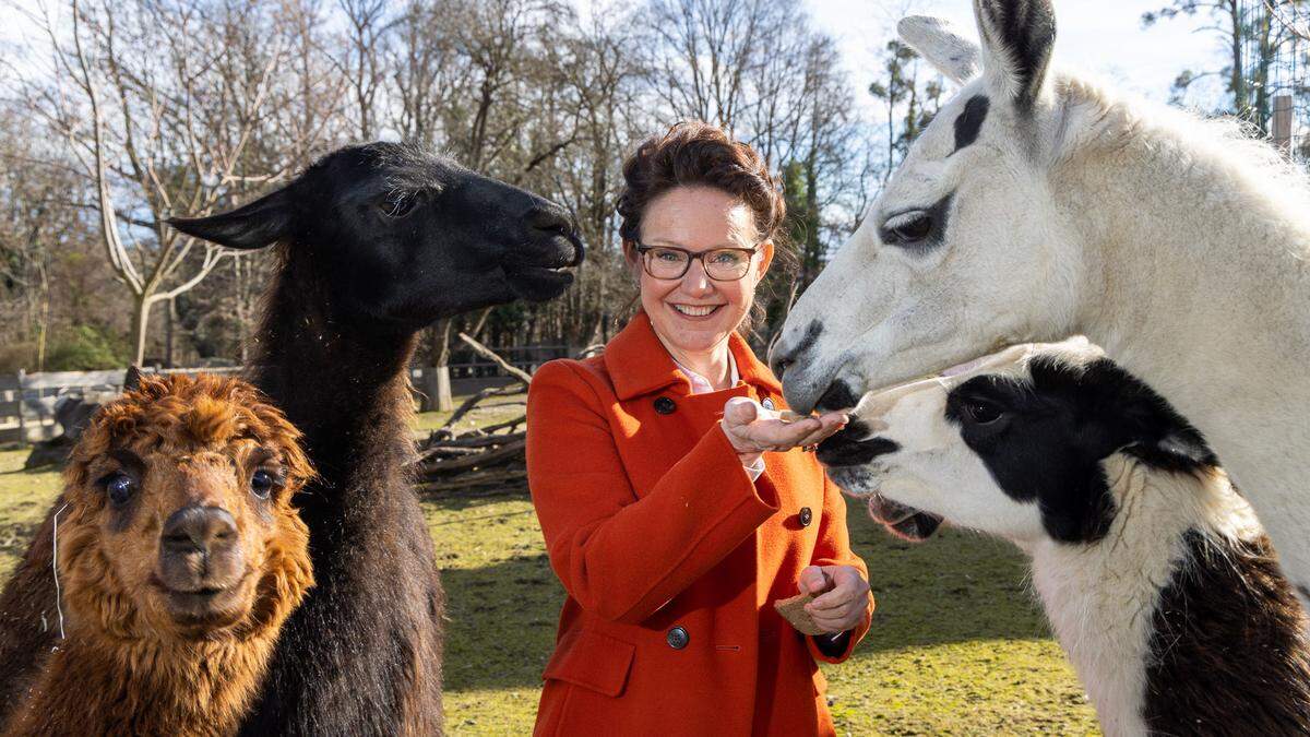 Alexia Getzinger ist seit einem Monat die interimistische Geschäftsführerin in der Tierwelt Herberstein