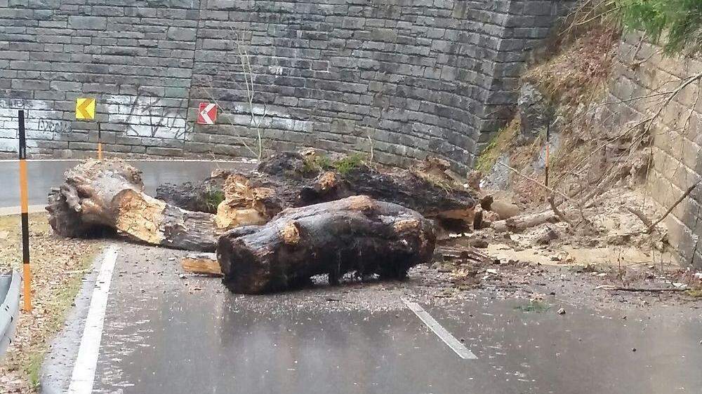 Immer wieder fielen nach den schweren Regenfällen Geröll und Bäume auf die Loiblpass Bundesstraße