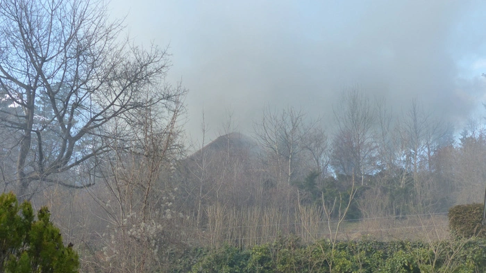 Zu einem Großbrand in Ternitz-Putzmannsdorf mussten am Dienstag neun Feuerwehren ausrücken.