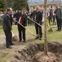 Stafan Prantauer, Klaus Wallnöfer und Josef Geisler beim Pflanzen der Jubiläums-Stieleiche