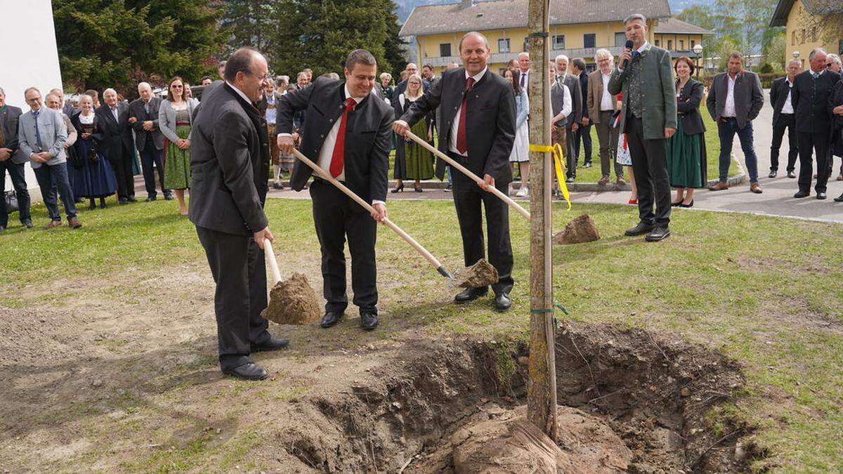 Stafan Prantauer, Klaus Wallnöfer und Josef Geisler beim Pflanzen der Jubiläums-Stieleiche