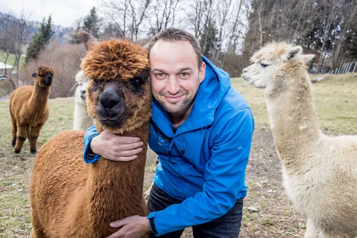 Philipp Wohlgemuth (35) forciert seit 2015 die Alpakazucht.
