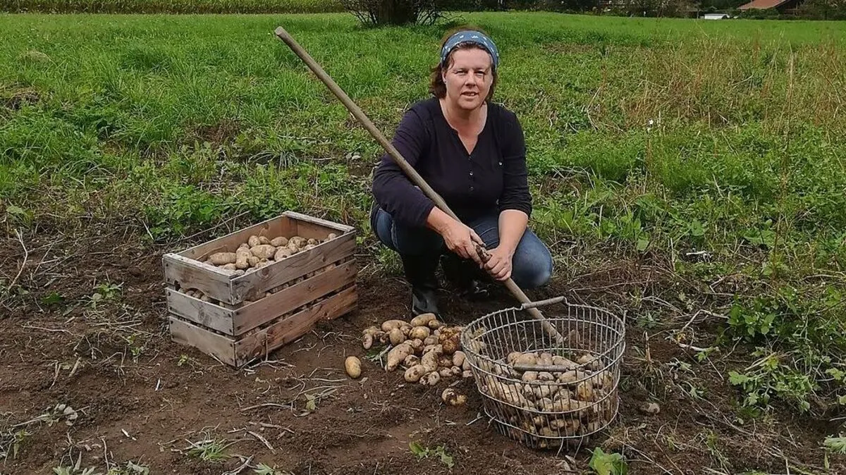 Brigitte Amort sieht keine Wertschätzung der Frauen in der Landwirtschaftskammer 