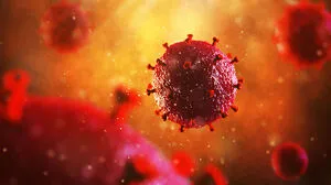 Ein Virus zwingt uns zu Verhaltensänderungen