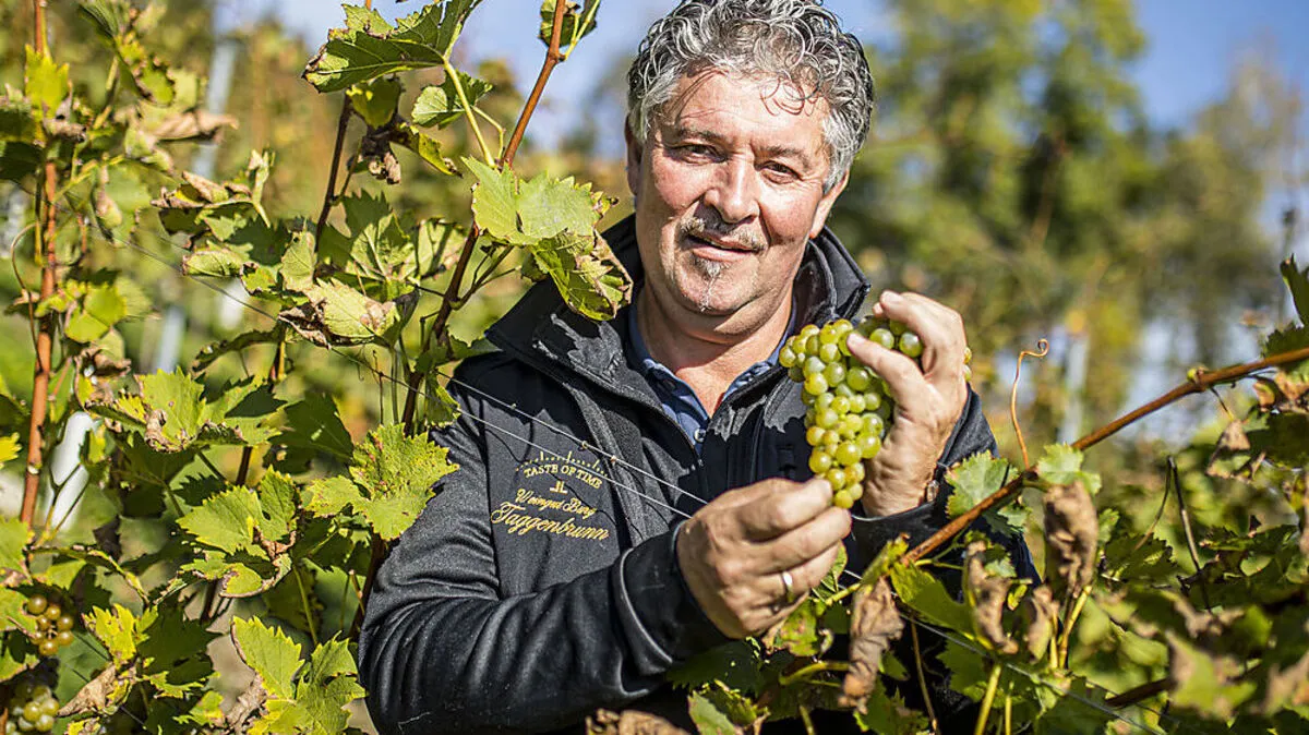 Hubert Vittori ist Winzer auf dem Weingut Taggenbrunn