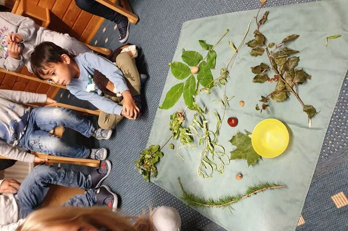 Bei den zahlreichen Ausflügen wurden auch Baum- und Waldfrüchte gesammelt