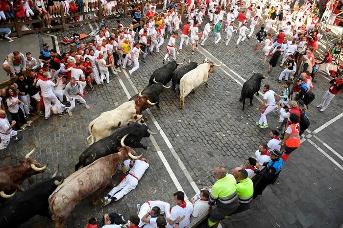 Es ist das erste Stiertreiben in Pamplona seit 2019 - in den vergangenen beiden Jahren fiel das traditionelle Spektakel wegen der Corona-Pandemie aus. Das neuntägige Fest war am Mittwoch eröffnet worden, tausende Menschen feierten in der Stadt.