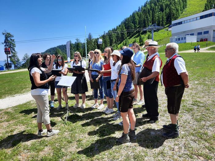 Almsingen, Goldeck, Stimmen aus Amlach