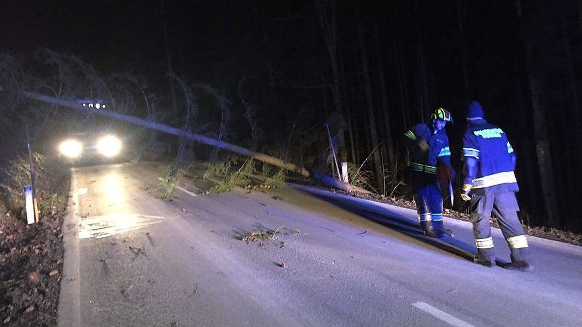 Die Feuerwehr rückte aus, um den Baum zu entfernen