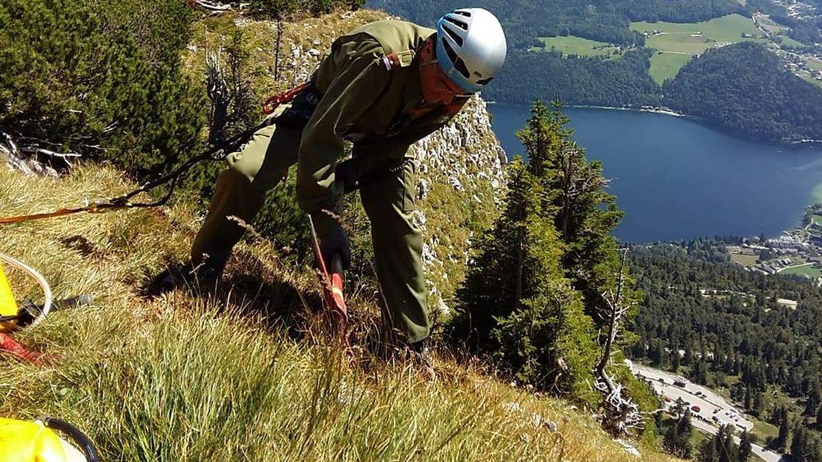 Feuerwehr löschte und grub die Grasnarbe ab