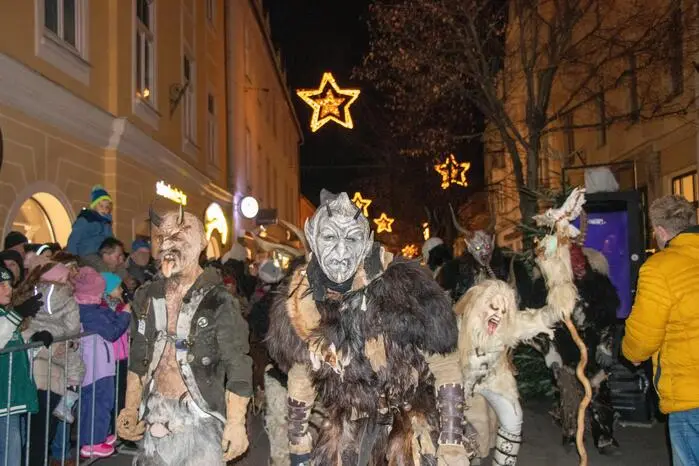 Gruppen aus Kärnten, der Steiermark, Niederösterreich und Oberösterreich sind mitgelaufen.