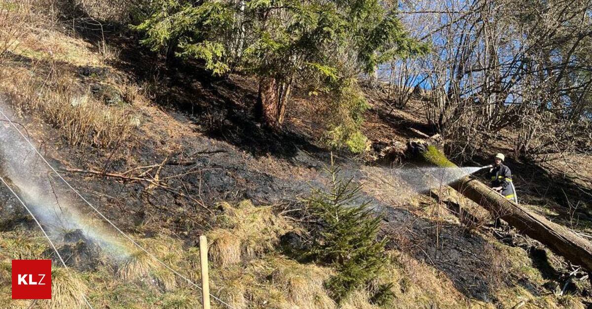 Metnitz Strommasten knickten ein, Wiese begann zu brennen