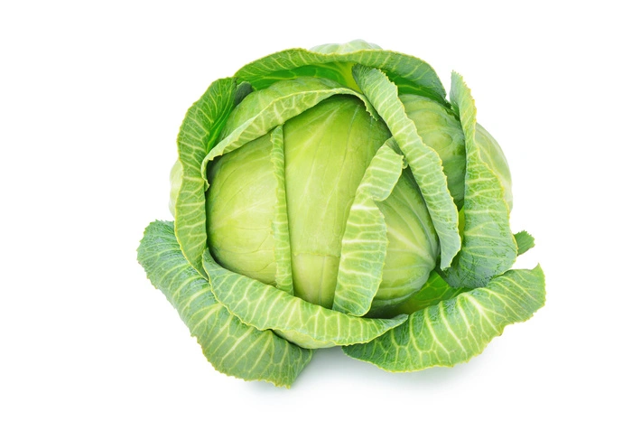 Kraut verdankt seinen typischen Geschmack den enthaltenen Senfölen, die als sekundäre Pflanzenstoffe vor Krebs schützen und das Immunsystem fördern. Und: 100 g rohes Kraut decken die Hälfte des täglichen Vitamin-C-Bedarfs.