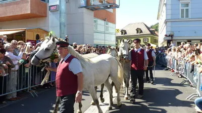 Bei Schönwetter werden 10.000 Besucher erwartet