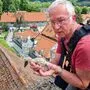 Schwaches Storchenjunges wurde gerettet - per Livecam war man dabei