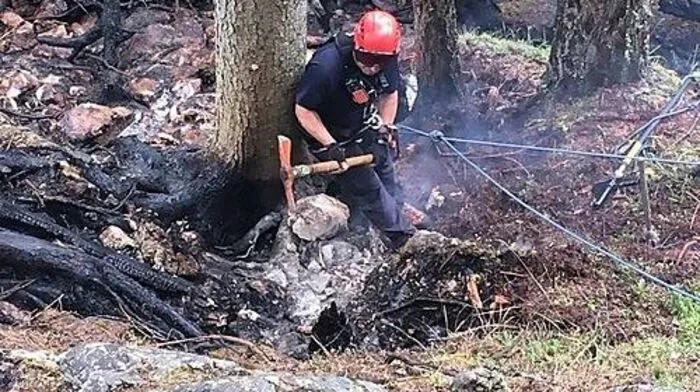 Die Kameraden kämpften sieben Stunden lang gegen das Feuer