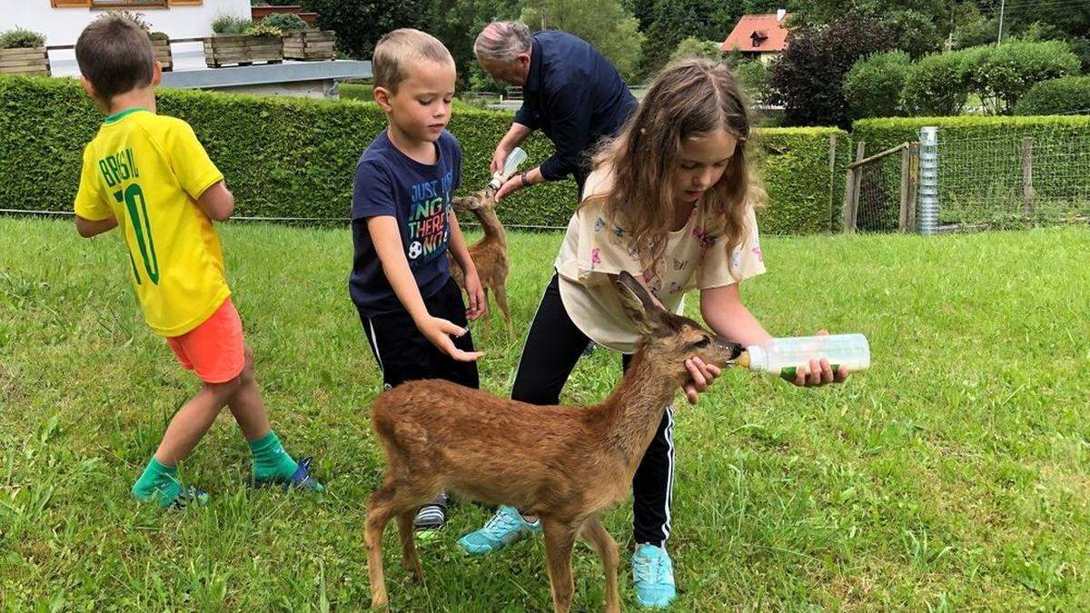 Annika Häusler füttert den kräftigeren Hansi, ihr Opa Karl Häusler die zierliche Bambi
