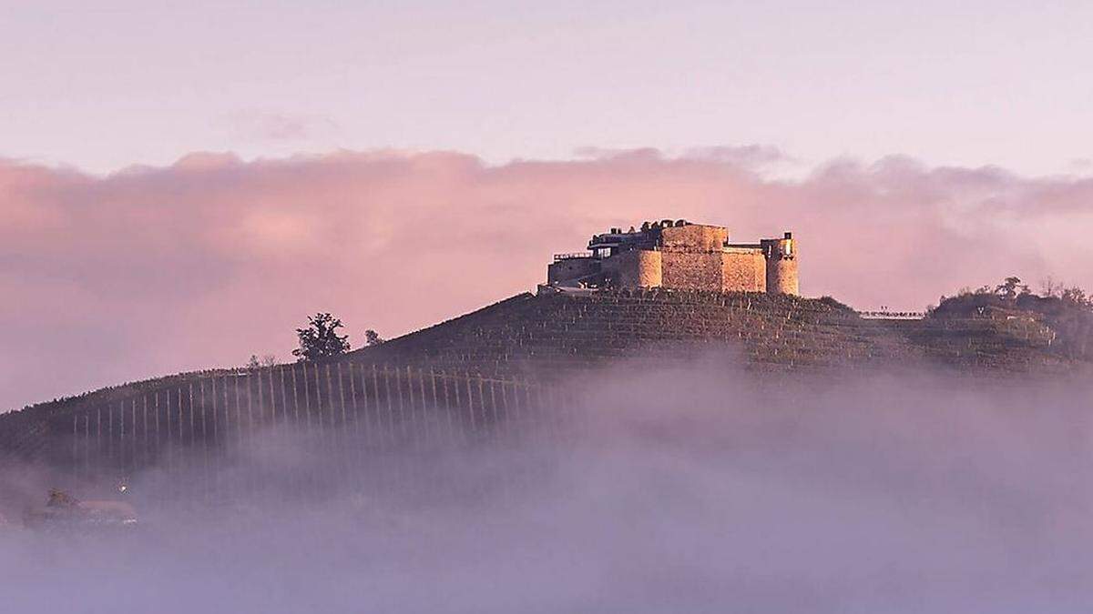 Vormals Ruine, jetzt von  Weingärten umsäumtes Juwel: Burg Taggenbrunn