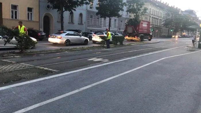 Ab 20 Uhr wurden in der Conrad-von-Hötzendorf-Straße die alten Hainbuchen zwischen Straßenbahngleisen und der Straße umgeschnitten.