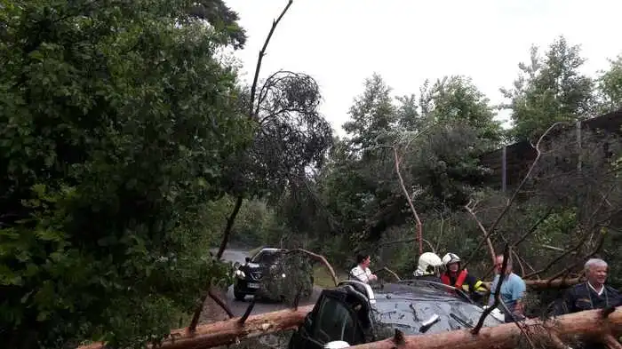 In Edling in der Gemeinde Eberndorf krachten zwei Baumstämme auf das fahrende Auto einer Völkermarkterin.