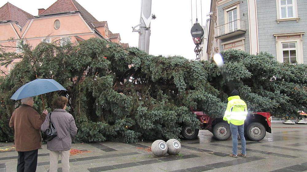Der Weihnachtsbaum wurde bereits gestern am Hauptplatz aufgestellt